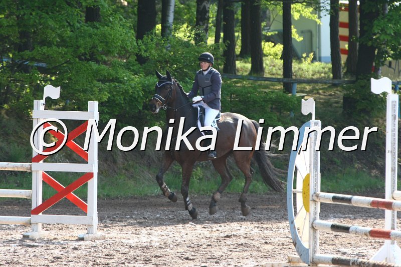 104M7576_Spring A.JPG